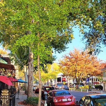 Artist'S Retreat Near The Heart Of The City Sacramento Buitenkant foto
