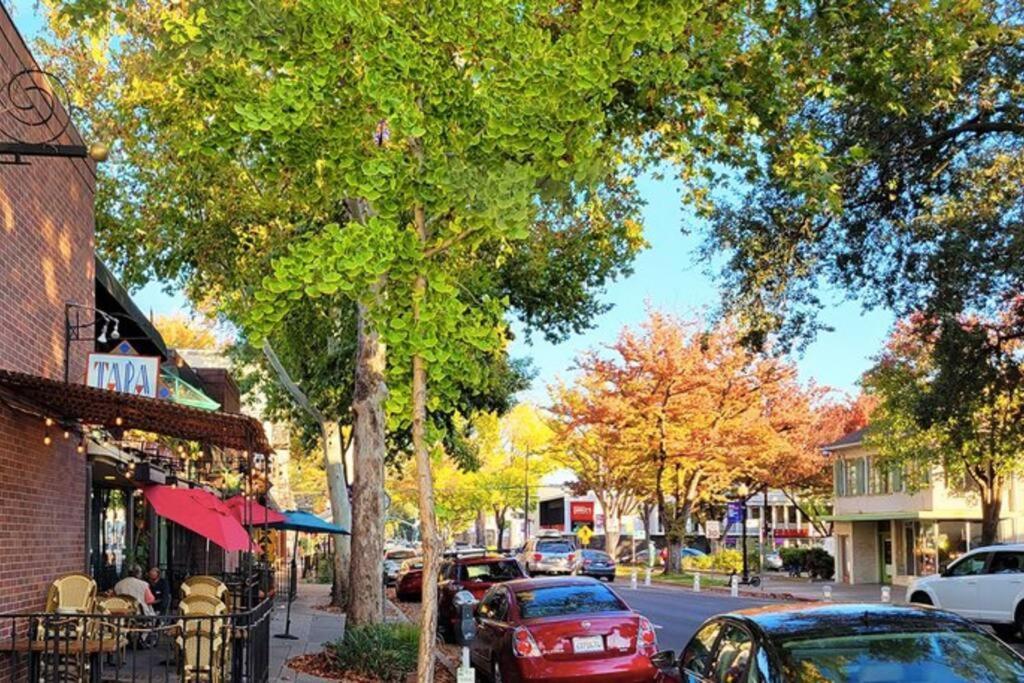 Artist'S Retreat Near The Heart Of The City Sacramento Buitenkant foto