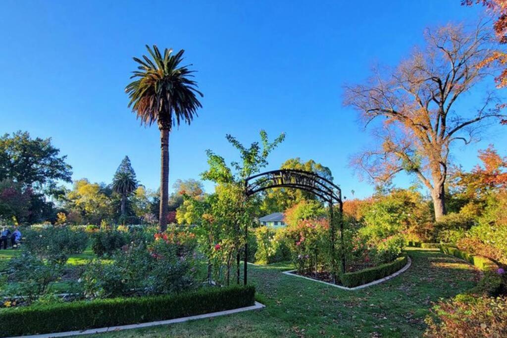 Artist'S Retreat Near The Heart Of The City Sacramento Buitenkant foto